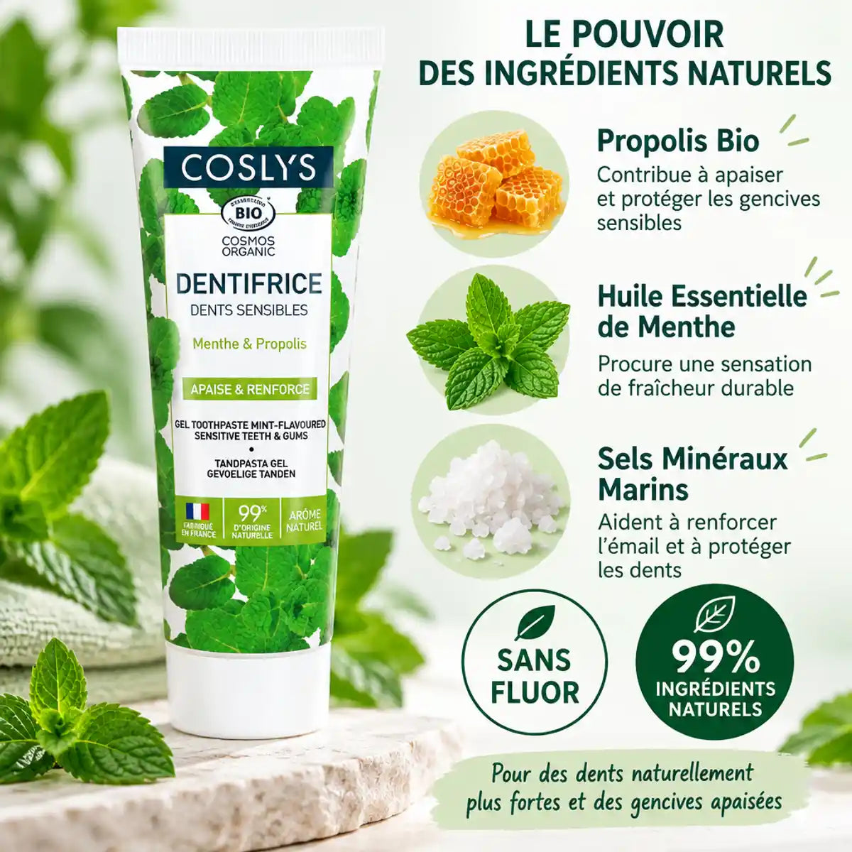 Dentifrice dents sensibles Coslys bio menthe propolis - tube 75ml avec ingrédients naturels