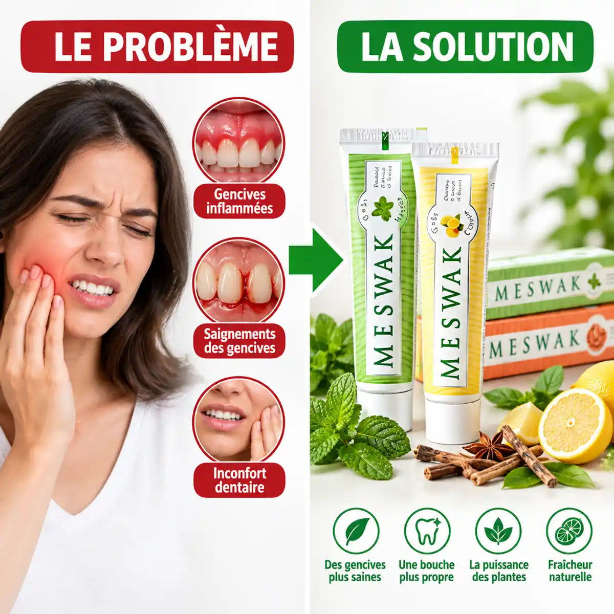 Comparaison problème/solution dentifrice Meswak Kerala Nature saveurs menthe et citron