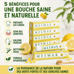 Dentifrice Meswak ayurvédique citron 100g avec bénéfices : caries, gencives, haleine fraîche