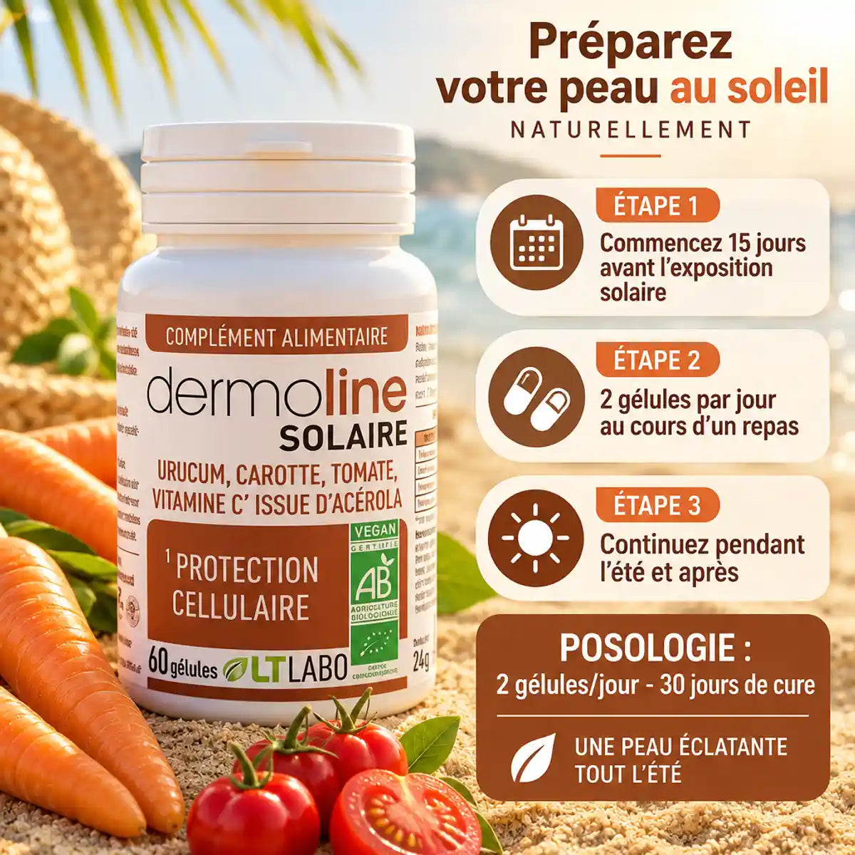 Dermoline Solaire Bio 60 gélules LT Labo avec posologie et ingrédients naturels pour protection solaire