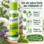Désodorisant Etamine du Lys 125ml spray avec instructions d'utilisation et éléments botaniques naturels
