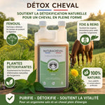 Bouteille Detox Cheval avec ingrédients naturels, fenouil et plantes détoxifiantes pour chevaux