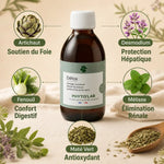 Phyto'Lab Detox 250ml pour chien et chat - Bouteille avec 5 plantes détoxifiantes pour foie et reins