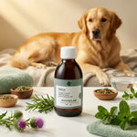 Bouteille Pilagreen Detox 250ml pour foie et reins du chien et chat avec herbes naturelles