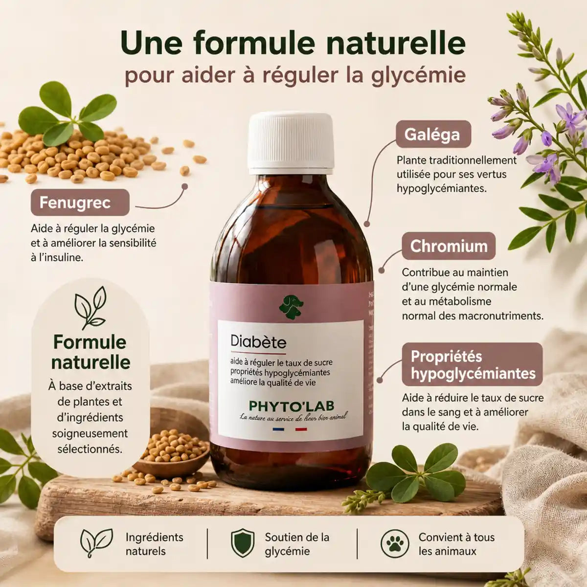 Complément naturel Phyto'Lab Diabète pour chiens et chats avec fenugrec et galéga