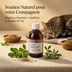 Complément Phytolab Diabète pour chiens et chats avec herbes naturelles et fenugreek