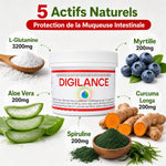 Digilance complément digestion pot blanc avec 5 actifs naturels L-Glutamine myrtille aloe vera curcuma spiruline