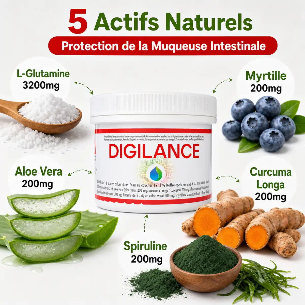 Digilance complément digestion pot blanc avec 5 actifs naturels L-Glutamine myrtille aloe vera curcuma spiruline