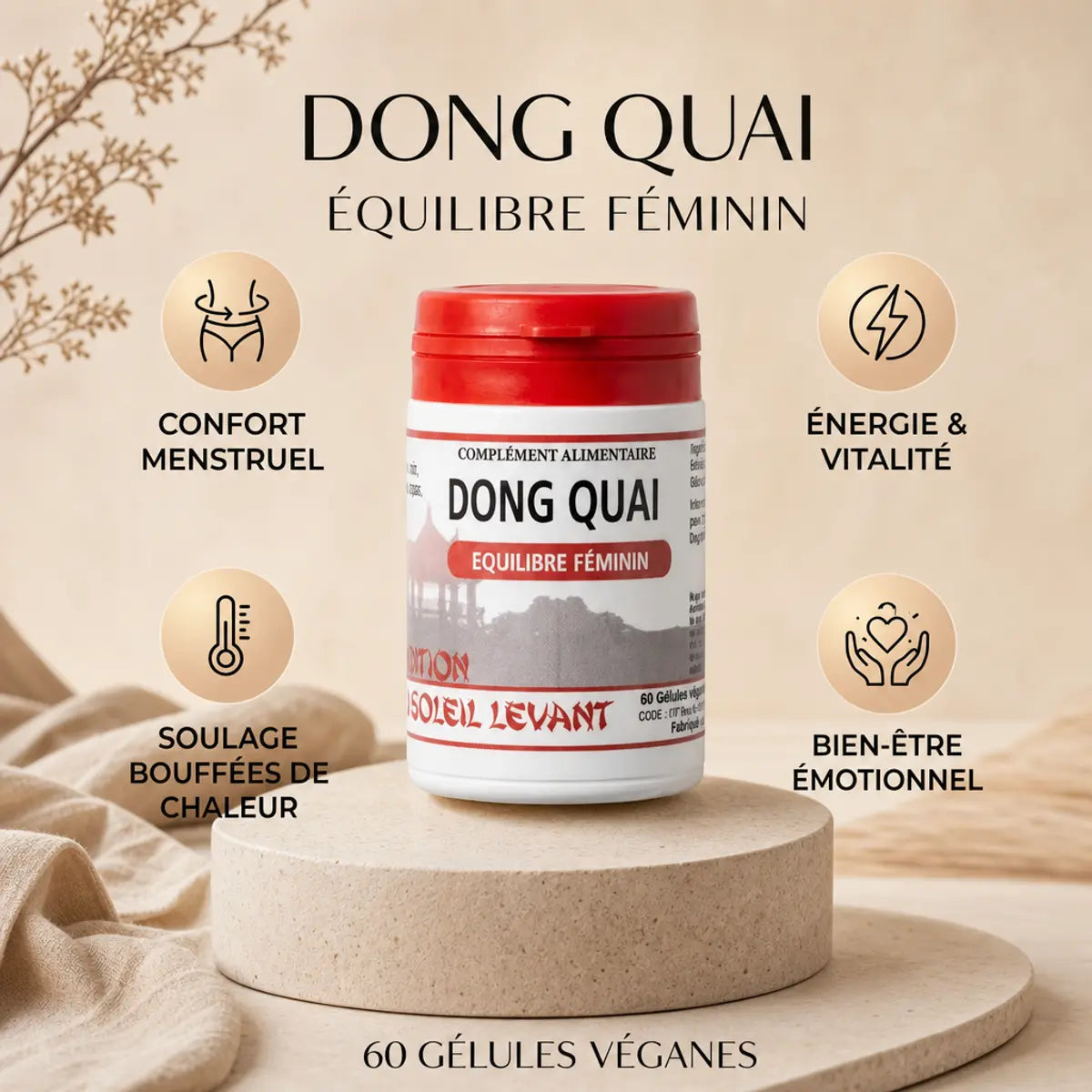 Dong Quai 60 gélules - Complément féminin avec bénéfices confort menstruel et énergie vitalité