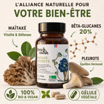 Flacon French Mush Maïtaké-Pleurote bio avec champignons, bêta-glucanes et ingrédients naturels pour satiété et glycémie
