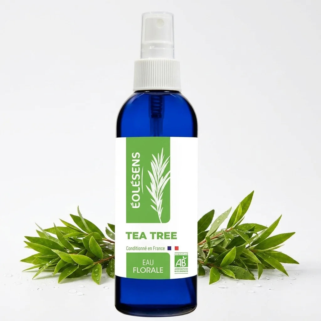 Eau florale Tea Tree Eolesens 200ml avec feuilles fraîches et gouttes d'eau sur fond blanc