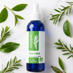 Eau florale Tea Tree 200ml Eolesens en flacon spray avec feuilles de tea tree frais