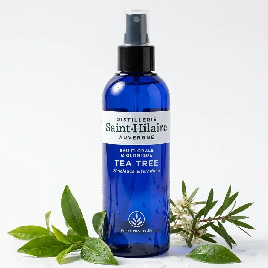 Eau Florale Tea Tree Bio Saint-Hilaire 200ml flacon verre bleu avec feuilles melaleuca frais