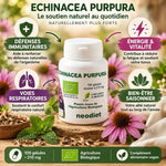 Echinacea Bio 210mg Vital Osmose - 100 gélules avec fleurs pourpres, bénéfices immunitaires et respiratoires