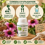 Echinacea bio 210mg - Flacon 100 gélules avec dosage et fleurs d'échinacée fraiches