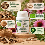 Echinacea Bio 210 mg flacon blanc avec racine d'échinacée purpura, 100 gélules biologiques certifiées
