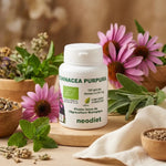 Echinacea Bio 210 mg Vital Osmose avec fleurs d'échinacée pourpre et herbes biologiques