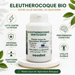 Eleutherocoque Bio Neodiet 200 gélules - Ginseng Sibérien avec bénéfices : fatigue, défenses, vitalité