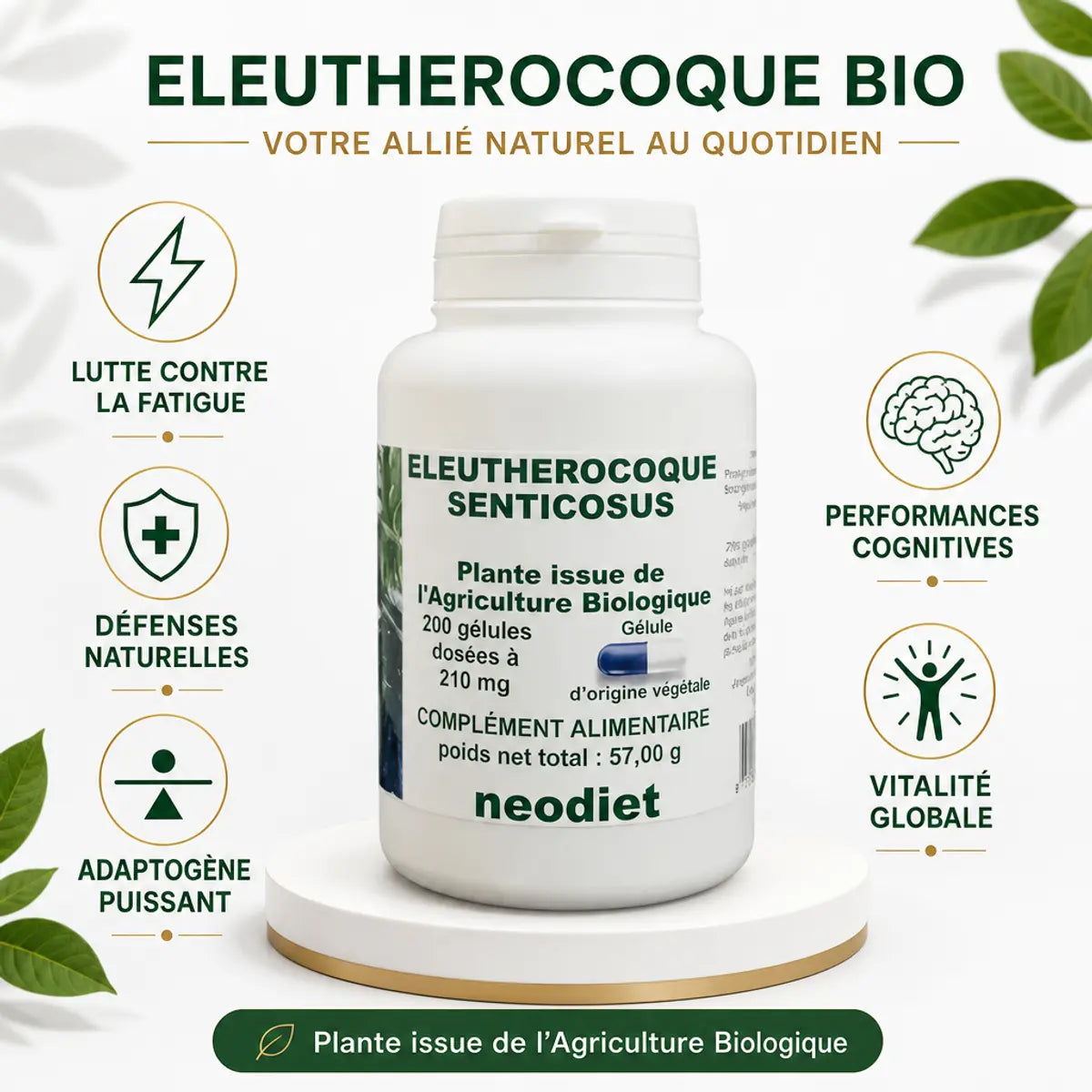 Eleutherocoque Bio Neodiet 200 gélules - Ginseng Sibérien avec bénéfices : fatigue, défenses, vitalité