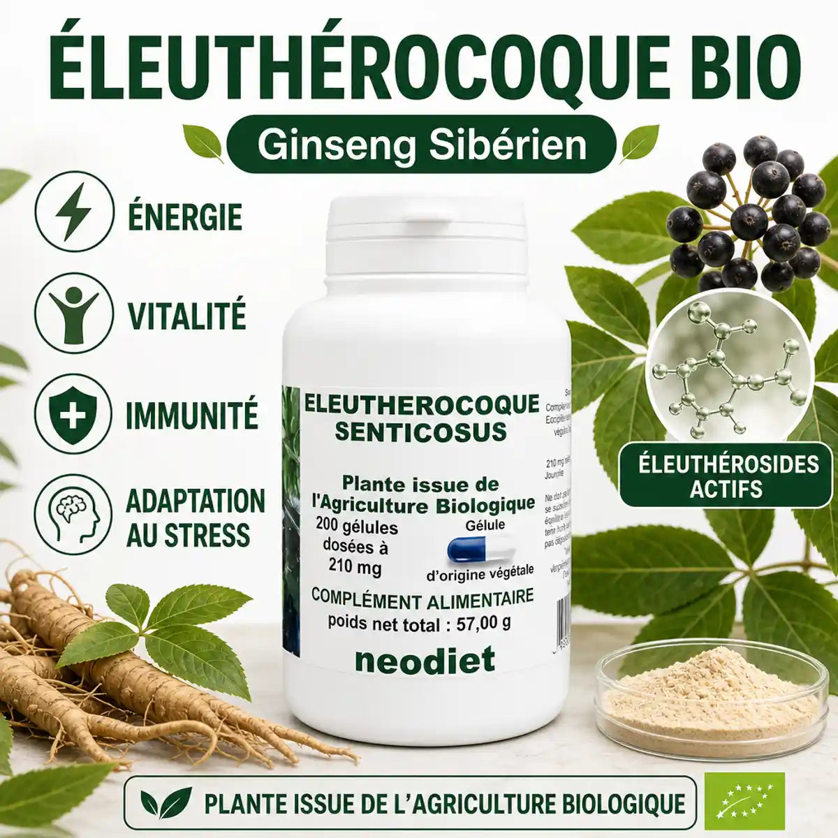 Eleutherocoque Bio Neodiet 200 gélules avec ginseng sibérien, énergie et immunité