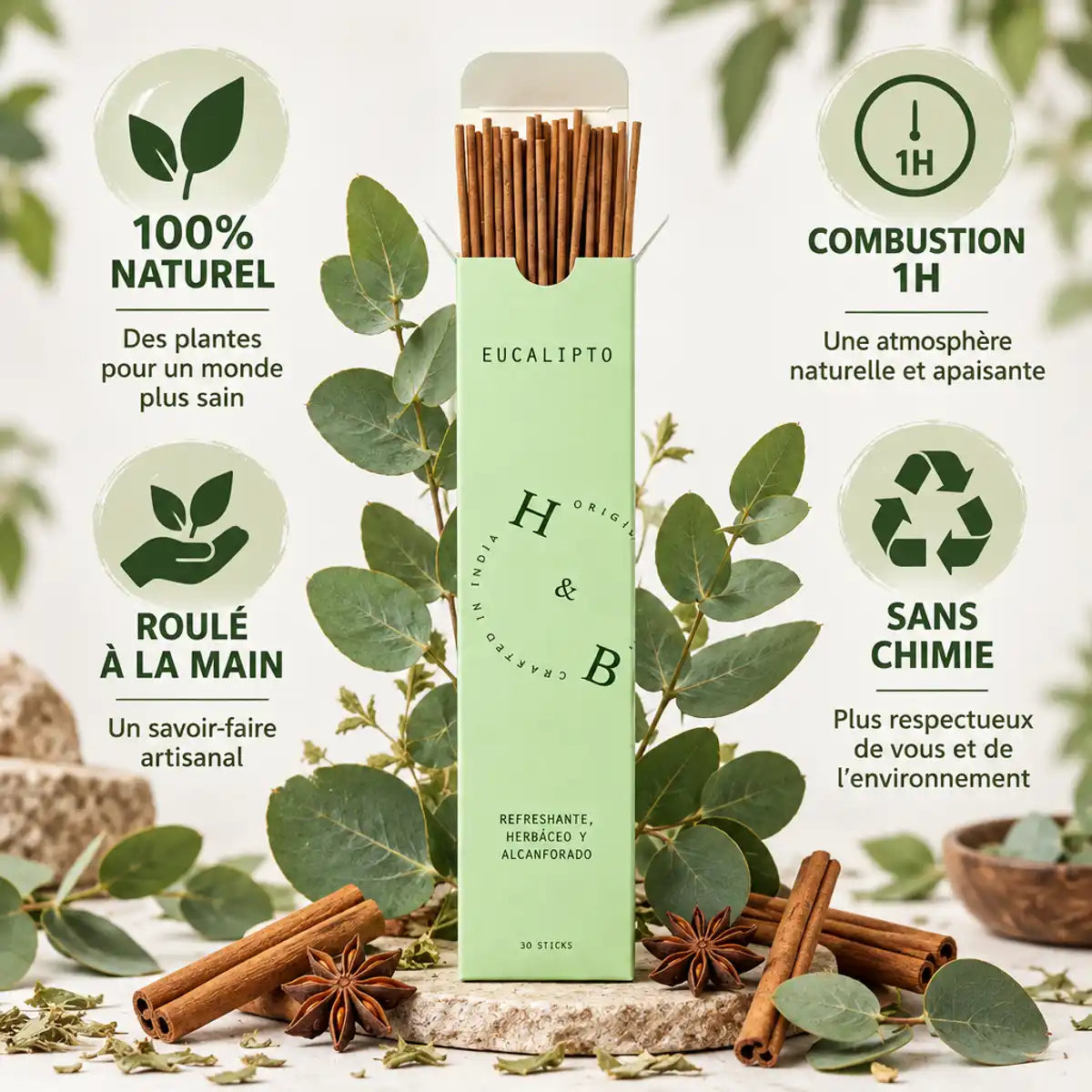 Encens naturel eucalyptus 10 bâtons avec feuilles fraîches, 100% naturel roulé à la main