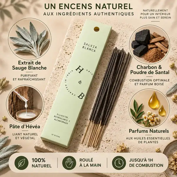 Encens Sauge Blanche naturel 10 bâtons avec ingrédients et feuilles séchées sur surface beige