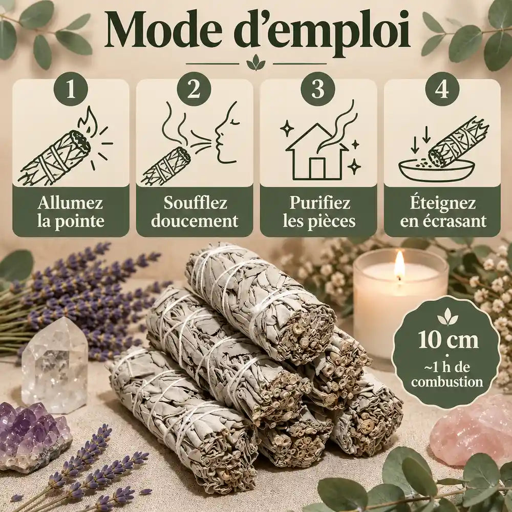 Bâtons de sauge blanche de Californie avec lavande et eucalyptus, guide d'utilisation en 4 étapes pour purification spirituelle