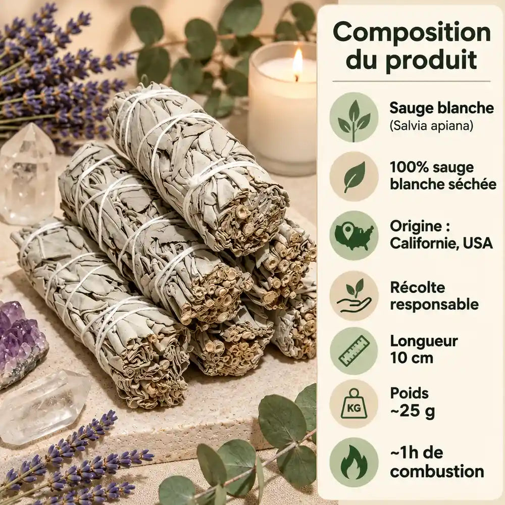 Bâtons de sauge blanche de Californie pour purification, entourés de lavande, eucalyptus, quartz et améthyste, avec liste des caractéristiques du produit