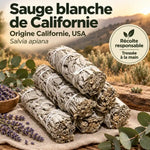Bâtons de sauge blanche de Californie tressés à la main, posés sur lin et bois rustique, avec lavande et eucalyptus