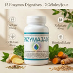 Enzymajade complexe 13 enzymes digestives avec ingrédients naturels lactase xylanase cellulase