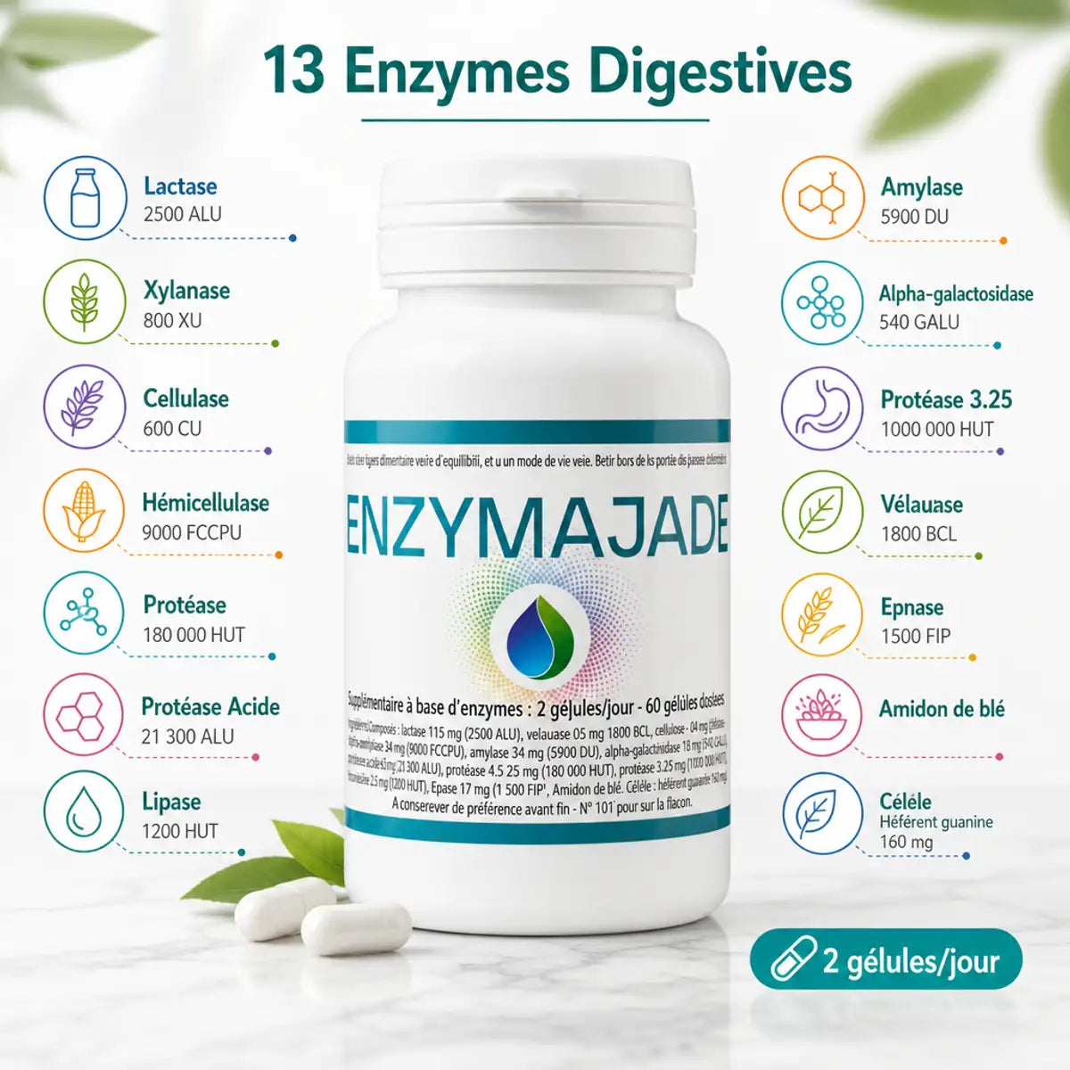 Enzymajade complexe 13 enzymes digestives flacon avec ingrédients actifs Lactase Protease Lipase