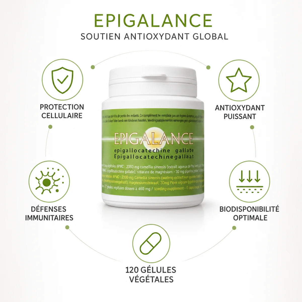 Epigalance 120 gélules - Protection cellulaire antioxydant défenses immunitaires Jade Recherche