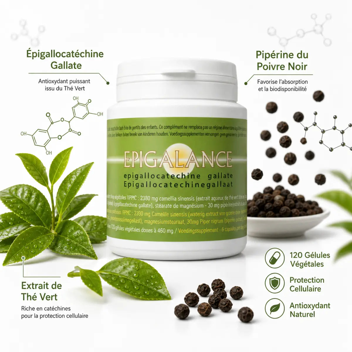 Epigalance 120 gélules - Supplément antioxydant thé vert et pipérine pour protection cellulaire