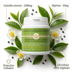 Epigalance 120 gélules - Protection cellulaire aux extraits de thé vert et pipérine