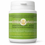 Epigalance Protection Cellulaire 120 gélules Jade Recherche flacon blanc étiquette verte