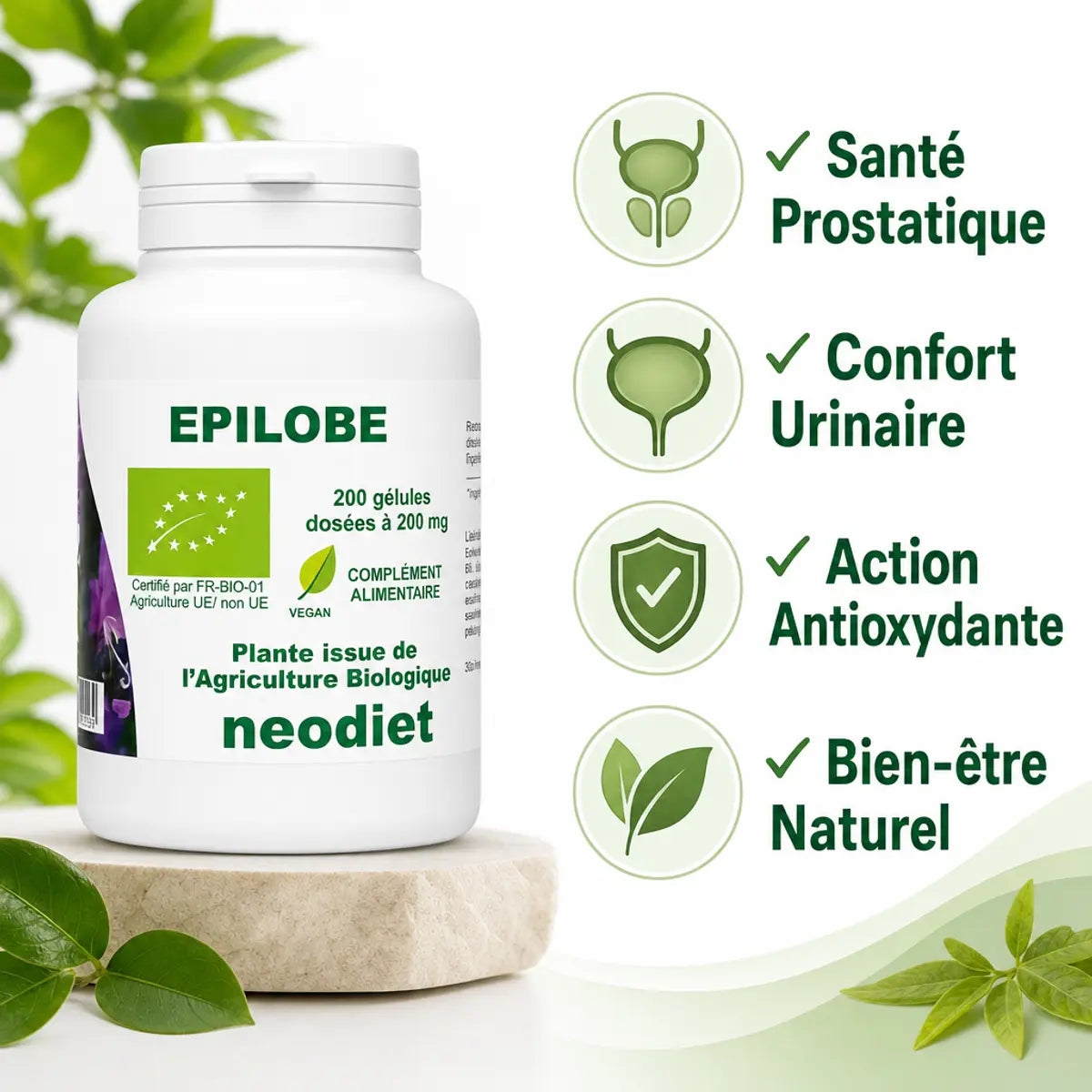 Épilobe Bio 200 gélules Neodiet avec bénéfices santé prostatique et confort urinaire