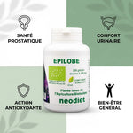 Épilobe Bio 200 gélules Vital Osmose avec bénéfices santé prostatique et confort urinaire