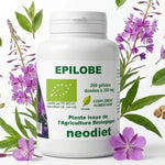 Épilobe Bio 200 gélules Vital Osmose avec fleurs et feuilles biologiques