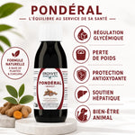 Ergyvet Pondéral 100ml pour diabète et surpoids chez chien et chat avec infographie bénéfices