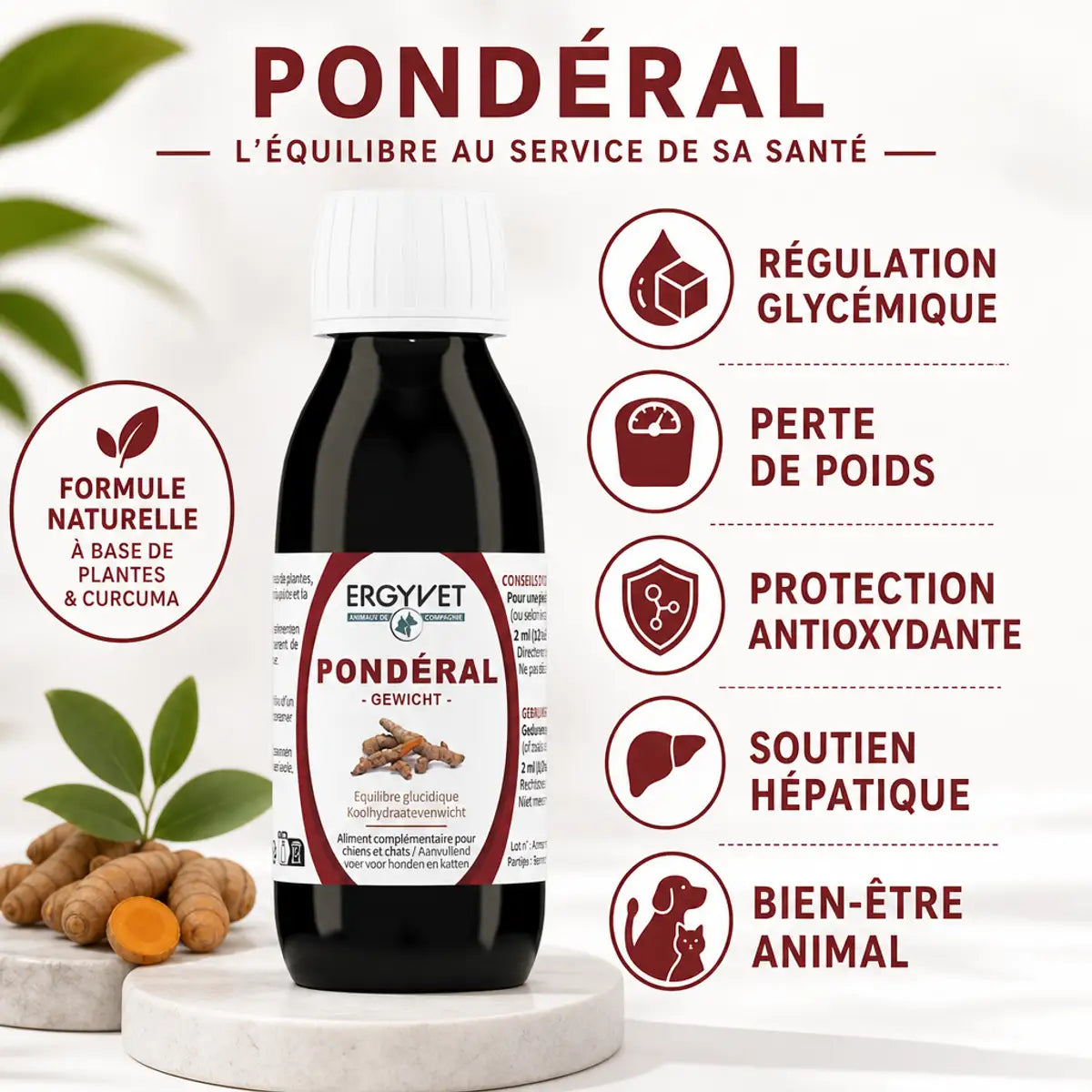 Ergyvet Pondéral 100ml pour diabète et surpoids chez chien et chat avec infographie bénéfices