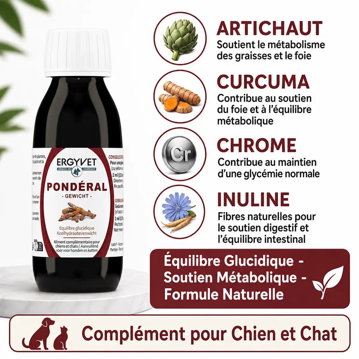 Ergyvet Pondéral - Supplément diabète et surpoids chien chat avec artichaut, curcuma et chrome