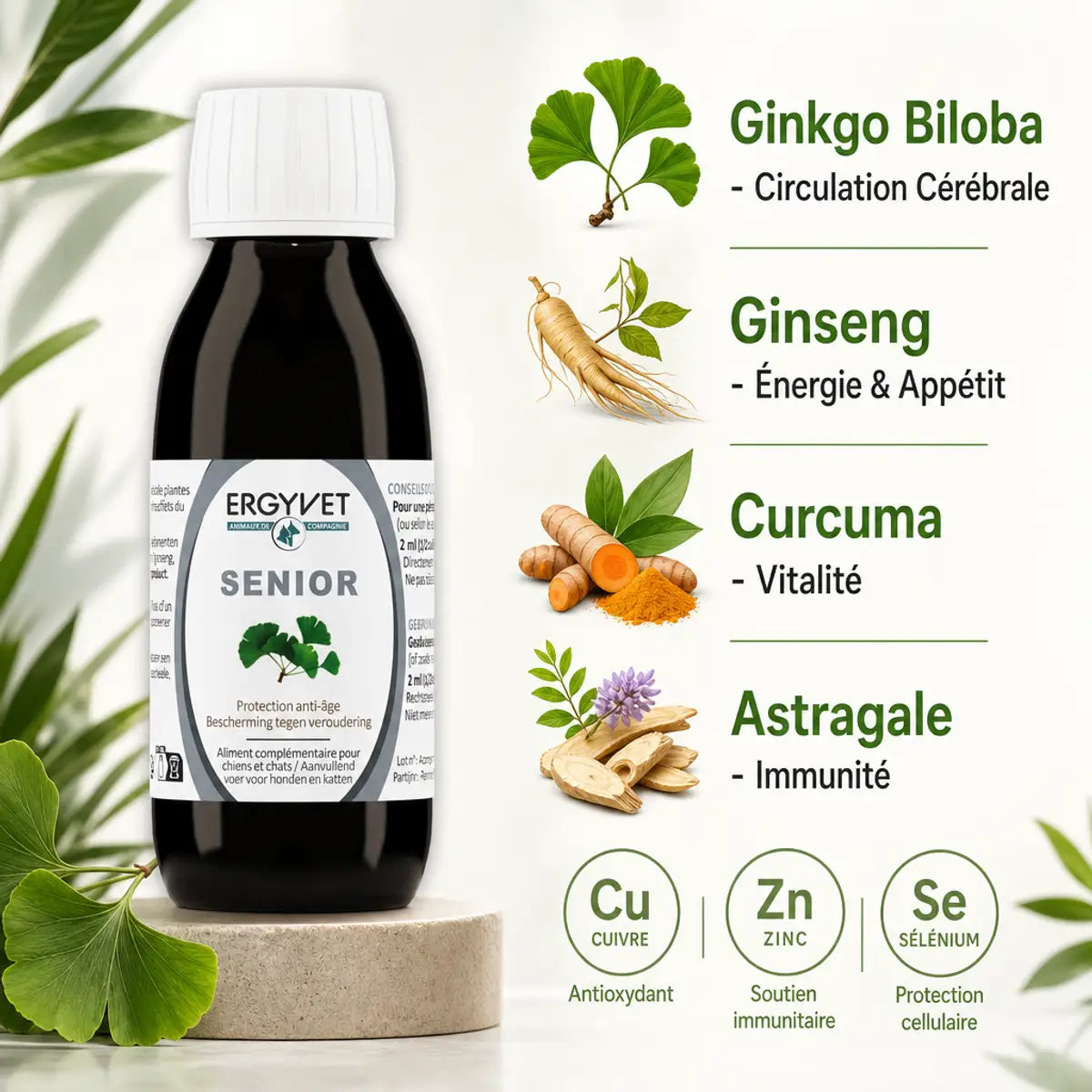 Ergyvet Senior flacon anti-âge pour chien et chat avec ingrédients actifs: Ginkgo, Ginseng, Curcuma, Astragale