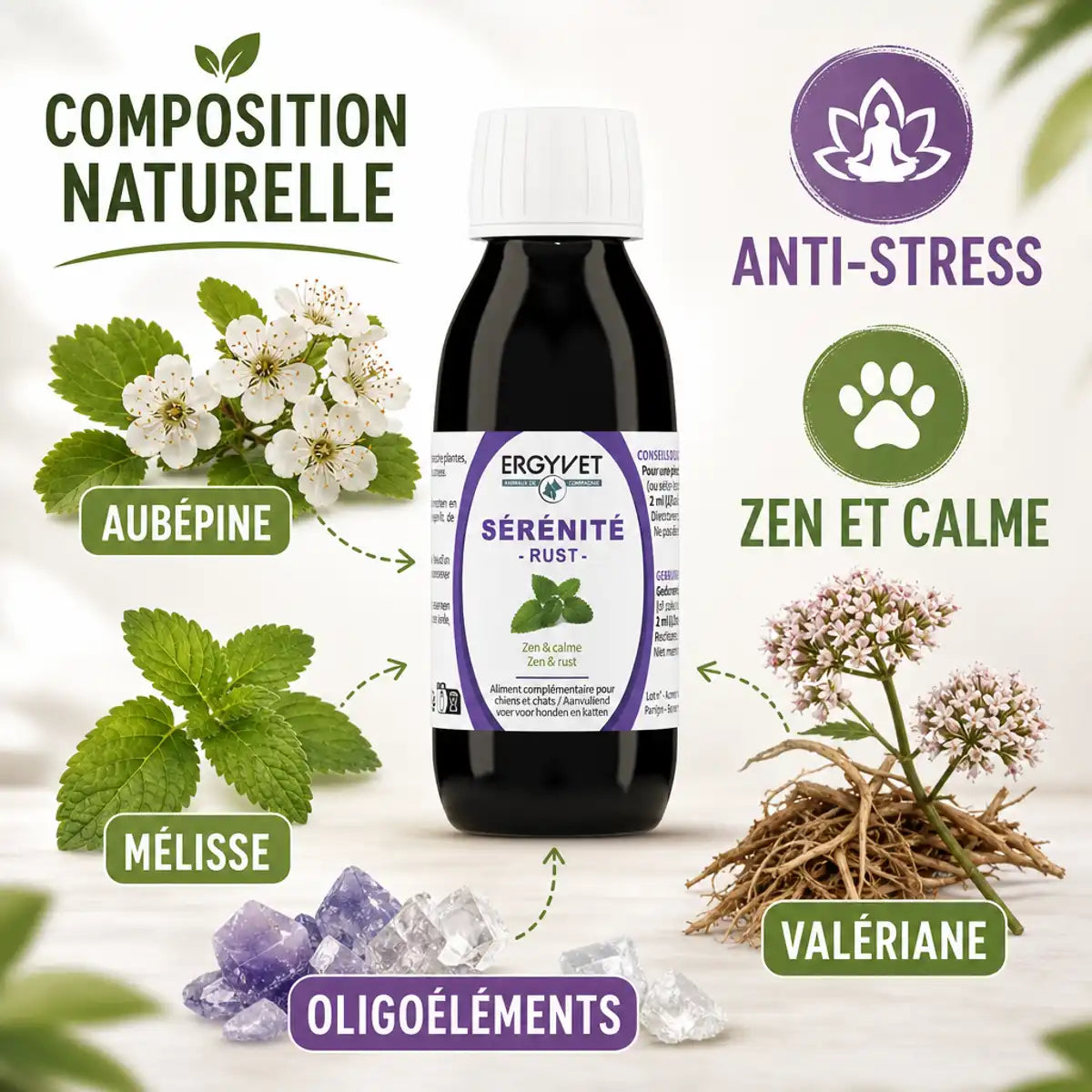 Ergyvet Sérénité 100ml - Complément naturel anti-stress pour chien et chat avec aubépine et valériane