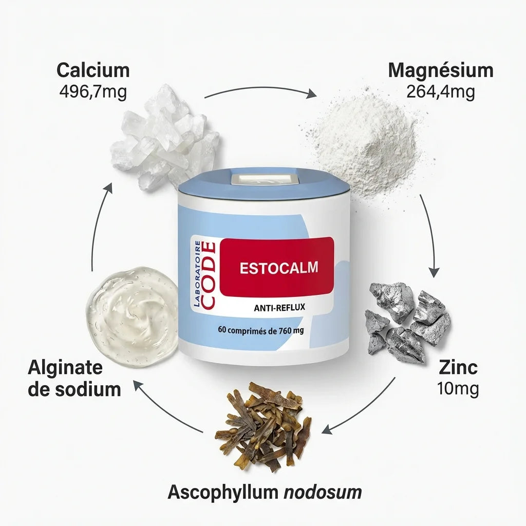Estocalm anti-reflux 60 capsules avec ingrédients calcium magnésium zinc alginate sodium