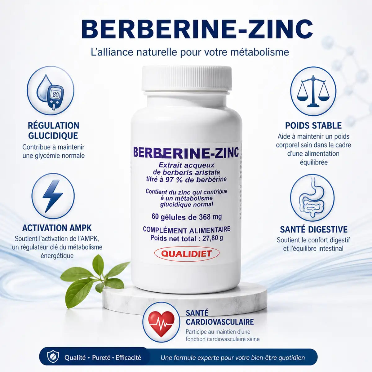 Berberis Aristata Zinc 60 gélules Qualidiet - Régulation glucidique et santé cardiovasculaire