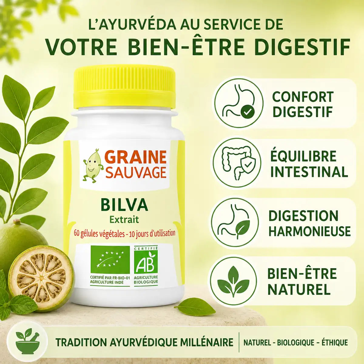 Extrait de Bilva Bio 60 gélules Graine Sauvage avec infographie bénéfices digestifs