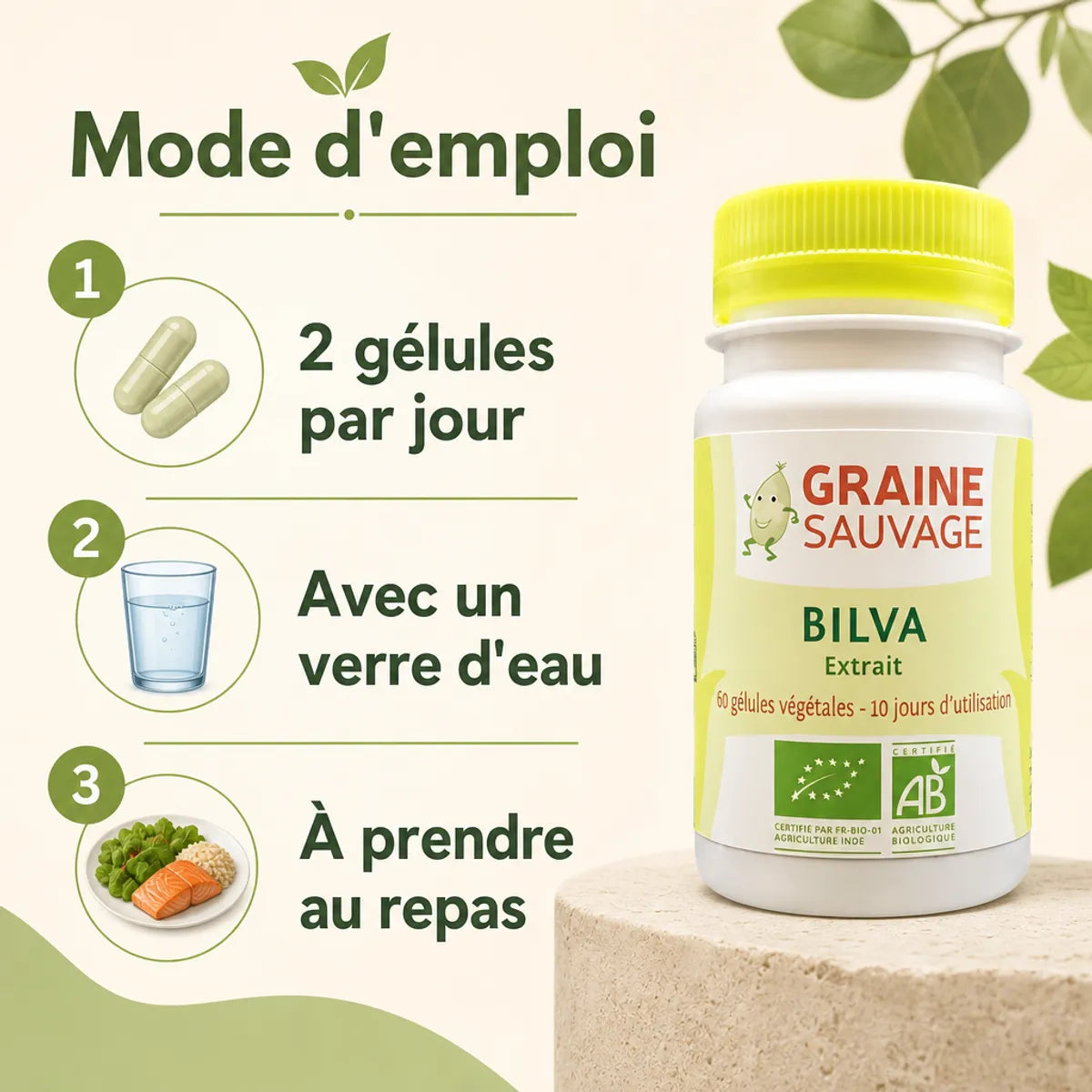 Extrait de Bilva Bio 60 gélules Graine Sauvage avec mode d'emploi posologie 2 gélules par jour