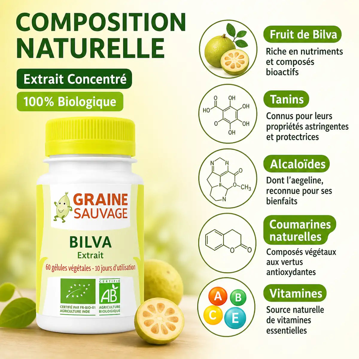 Extrait de Bilva Bio 60 gélules Graine Sauvage avec composition naturelle et ingrédients actifs