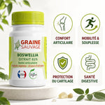 Extrait de Boswellia 60 gélules Graine Sauvage - flacon avec bénéfices articulaires et digestifs