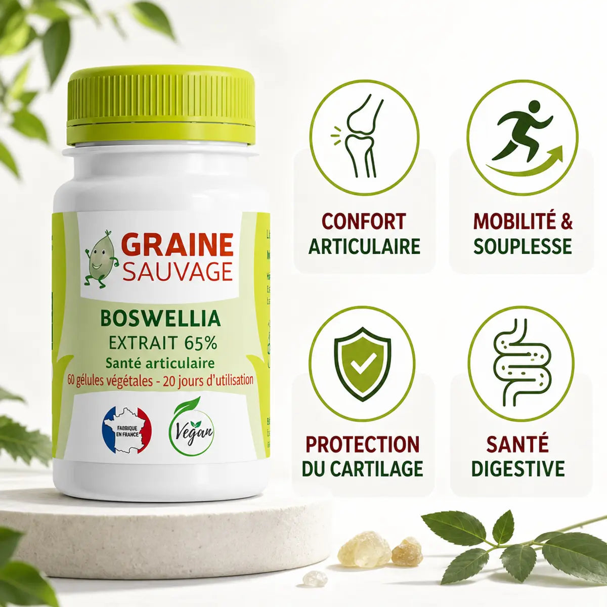 Extrait de Boswellia 60 gélules Graine Sauvage - flacon avec bénéfices articulaires et digestifs